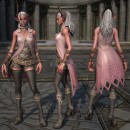 Tera armaduras castanic